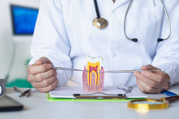 Best Urgent Dental Care for Toothaches in Hamilton, GA